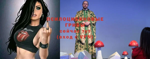 Альфа ПВП Абдулино