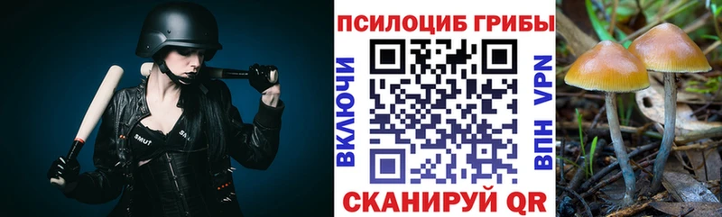 kraken ONION  Тюкалинск  Псилоцибиновые грибы MAGIC MUSHROOMS 